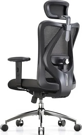 SIHOO Ergonomic Office Chair Computer Chair Desk Chair,Black | Adjustable Headrests Chair Backrest and Armrest's Mesh Chair