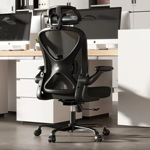 Keratee Ergonomic Mesh Office Chair, Adjustable Lumbar Support, Headrest